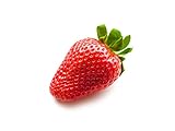 10 Maxim Erdbeerpflanzen (XXL Riesenerdbeeren) - 10 Erdbeerpflanzen/Erdbeersetzlinge - gut durchwurzelt, junitragend - Pflanzzeit:...