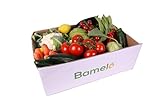 BAMELO® frische Gemüsebox - Bunte Vielfalt an Gemüse Kiste 5kg