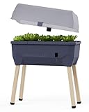 GUSTA GARDEN Sammy Salad Hochbeet Anthrazit - Hochbeet Balkon & Garten - Abnehmbare Haube & Bewässerungssystem - 15L Wassertank &...