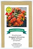 Kirschtomate – Cherrytomate – Grappoli d’Inverno - äüßerst ertragreich – 20 Samen