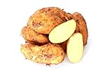 Kartoffeln Speisekartoffeln Annabelle 1-25 KG frische Ernte 2024 festkochend Salatkartoffel zum Grillen für Kartoffelsalat,...