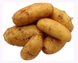 BLEICHHOF® 5kg Annabelle Kartoffeln aus der Pfalz - Sorte: Annabelle festkochend Salatkartoffel, Ernte 2024