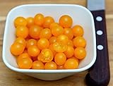 Gelbe Johannisbeer-Tomate - Mini-Kirschtomate - Currant Gold Rush - süß und ertragreich - 10 Samen