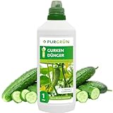 Purgrün® Bio-Gurkendünger | Organische Rezeptur | Premium-Flüssigdünger | NPK 4+1+7 | Mit Algenextrakt & Vinasse | Extra...