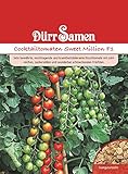 Cocktailtomate Samen Sweet MillionSamen Kirschtomate Rote Tomate Tomatensamen ca 20 Korn Saatgut Robust Ertragreich Garten...