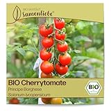 Samenliebe BIO Cherrytomaten Samen alte Sorte Principe Borghese süße Freilandtomate Tomate rot 10 Samen samenfestes Gemüse...