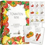 Tomaten Samen Set - 12 Tomatensamen Sorten in Samentütchen für die eigene Anzucht - Samenfestes Saatgut frei von Chemie &...