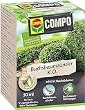 COMPO Buchsbaumzünsler K.O. - Insektizid - schnelle Hilfe bei Schädlingen an Buchsbäumen - Konzentrat mit Dosierbecher - für...