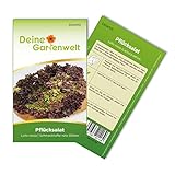 Pflücksalat Lollo rossa Samen - Lactuca sativa - Pflücksalatsamen - Gemüsesamen - Saatgut für 100 Pflanzen