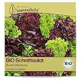 Samenliebe BIO Schnittsalat Samen Bunte Mischung Kopfsalat großer Salat bunt 500 Samen samenfestes Gemüse Saatgut für...