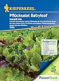 Kiepenkerl Pflücksalat Babyleaf Maraldi Powersaat- Frischer Salat mit Wintergemüse Samen und Kräutersamen - Schnellwachsende...