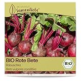 Samenliebe BIO Rote Bete Samen Robuschka fruchtig süße Beete runde Rüben rot 100 Samen samenfestes Gemüse Saatgut für...