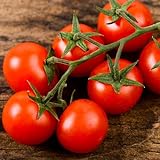 Cherry-Tomate Kirsch-Tomate 25 x Samen aus Portugal 100% Natur (Ohne Chemie) Massenträger mit vielen Früchten (25 Samen)