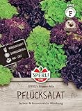 83033 Sperli Premium Salat Samen Mix | Pflücksalat Samen | Salatsamen Pflücksalat | Lollo Rosso Samen | Lollo Bionda | Eichblatt...