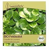 Samenliebe BIO Feldsalat Samen Coquille de Louviers nussiger Winterfeldsalat knackiger Salat grün 1,5g samenfestes Gemüse...