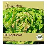 Samenliebe BIO Kopfsalat Samen alte Sorte Maikönig butterzarter Wintersalat Salat grün rot 500 Samen samenfestes Gemüse Saatgut...