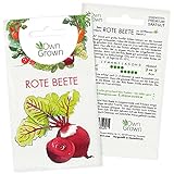 Rote Beete Samen: Premium Rote Bete Samen zum Anbau von ca. 50 Rote Beete Pflanzen – Samenfeste Gemüse Samen – Rote Beete...