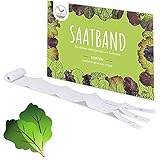 5m Saatband Salat Mix Samen (Lactuca sativa var. crispa) - Knackig, frischer Pflücksalat ideal für die Anzucht im Garten,...