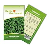 Gartenkresse Einfache Grüne Samen - Lepidium sativum - Gartenkressesamen - Kräutersamen - Saatgut für 1.000 Pflanzen