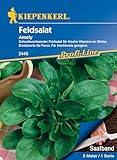 Kiepenkerl Profi-Line Feldsalatsamen Amely, Saatband 2445 - Für Hochbeete geeignet - Schnellwachsender Feldsalat - Salat,...