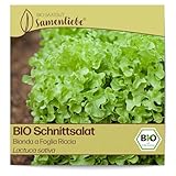 Samenliebe BIO Schnittsalat Samen Bionda a Foglia Riccia Wintersalat Salat grün 500 Samen samenfestes Gemüse Saatgut für...