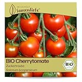 Samenliebe BIO Cherrytomaten Samen Zuckertraube besonders süße Cocktailtomate Tomate rot 10 Samen samenfestes Gemüse Saatgut...