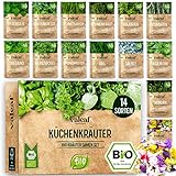 BIO Kräuter Samen Set - 14 Sorten Kräutersamen aus biologischem Anbau, samenfestes Bio Saatgut, Küchenkräuter Set für Küche,...
