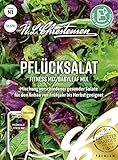 Pflücksalat Fitness Mix/Babyleaf Mix, Mischung verschiedener gesunder Salate, Samen, apog-01370